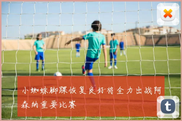 小蜘蛛脚踝恢复良好将全力出战阿森纳重要比赛