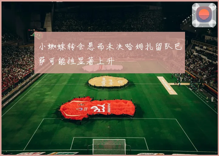 小蜘蛛转会悬而未决哈姆扎留队巴萨可能性显著上升