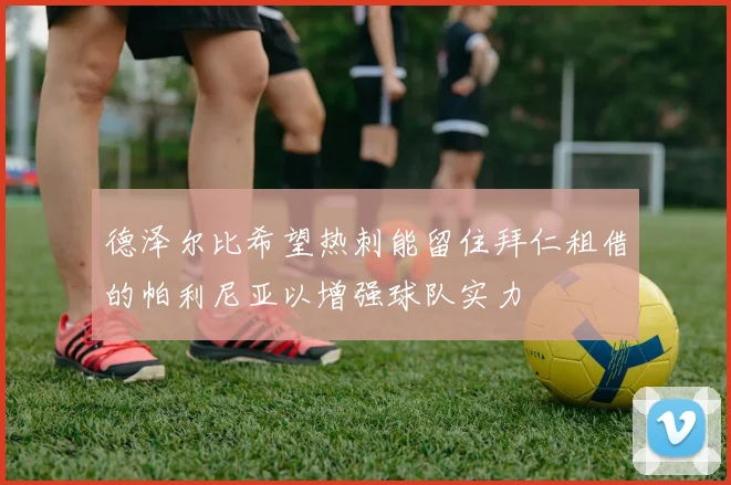 德泽尔比希望热刺能留住拜仁租借的帕利尼亚以增强球队实力
