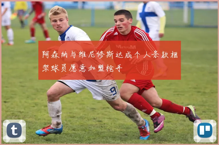 阿森纳与维尼修斯达成个人条款框架球员愿意加盟枪手